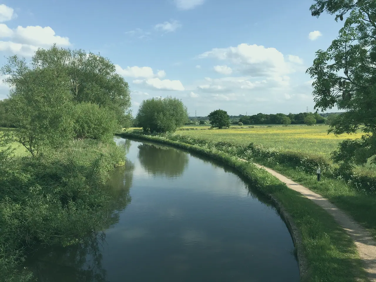 A canal curving away through fields and willows, towpath on the right
