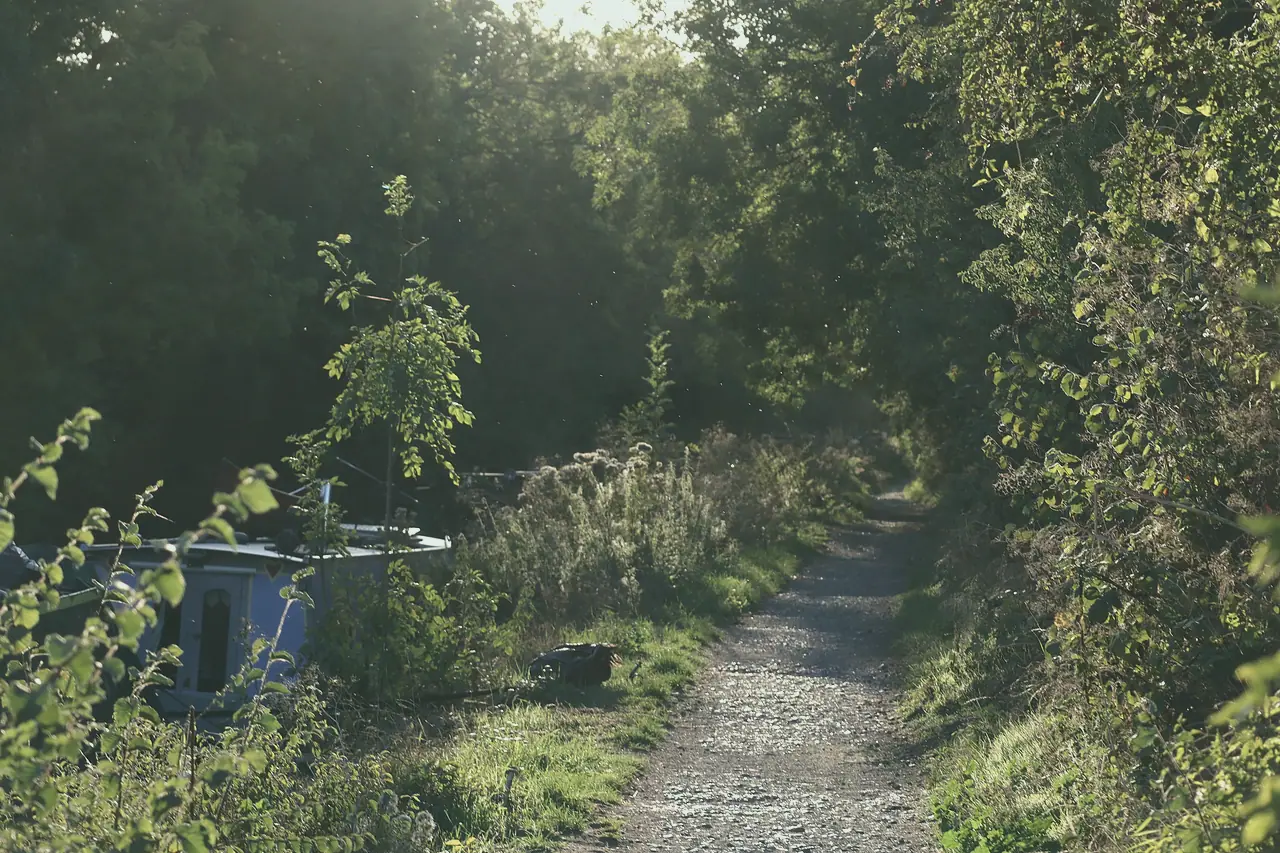 A gravel towpath curving through green hedgerow beside the water
